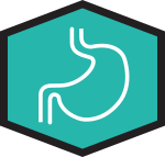 Healthy Gut and Digestion